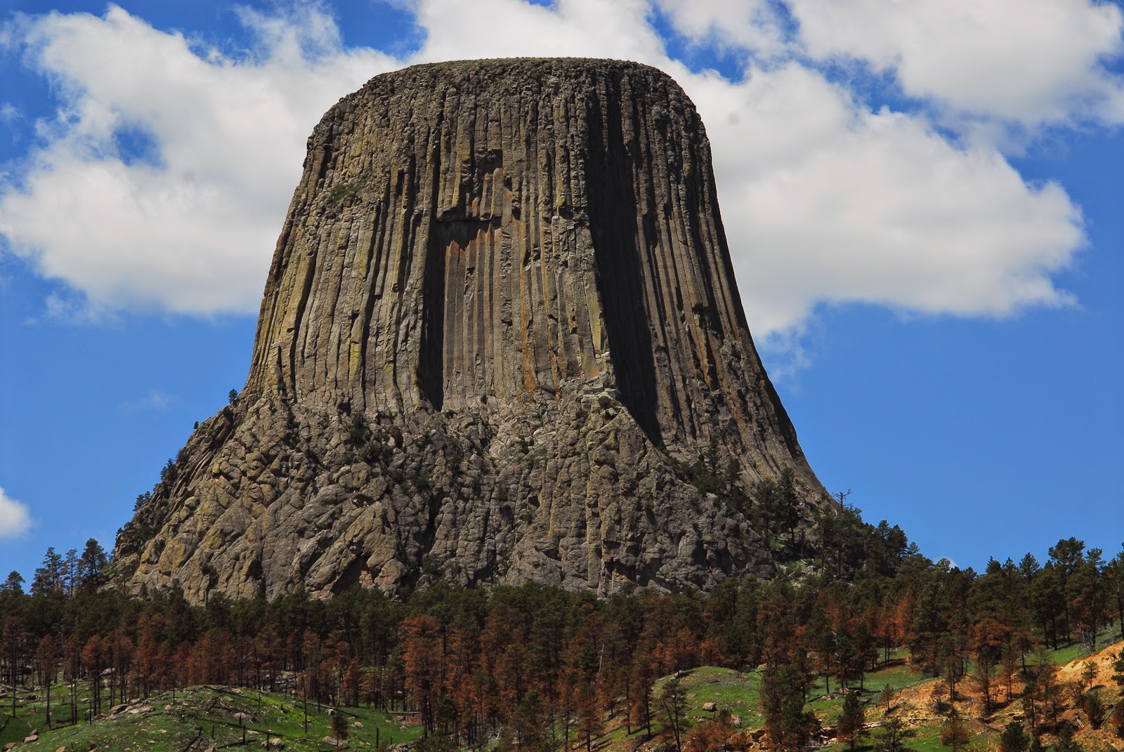 Devils Tower – Not a Tree Stump